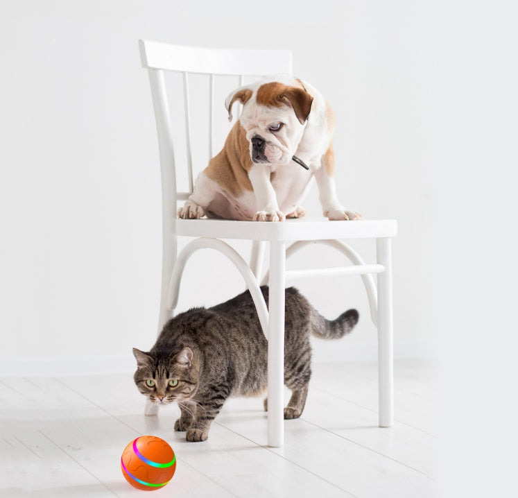 Interactive Cat Toy Ball - Rolling Fun for Endless Playtime